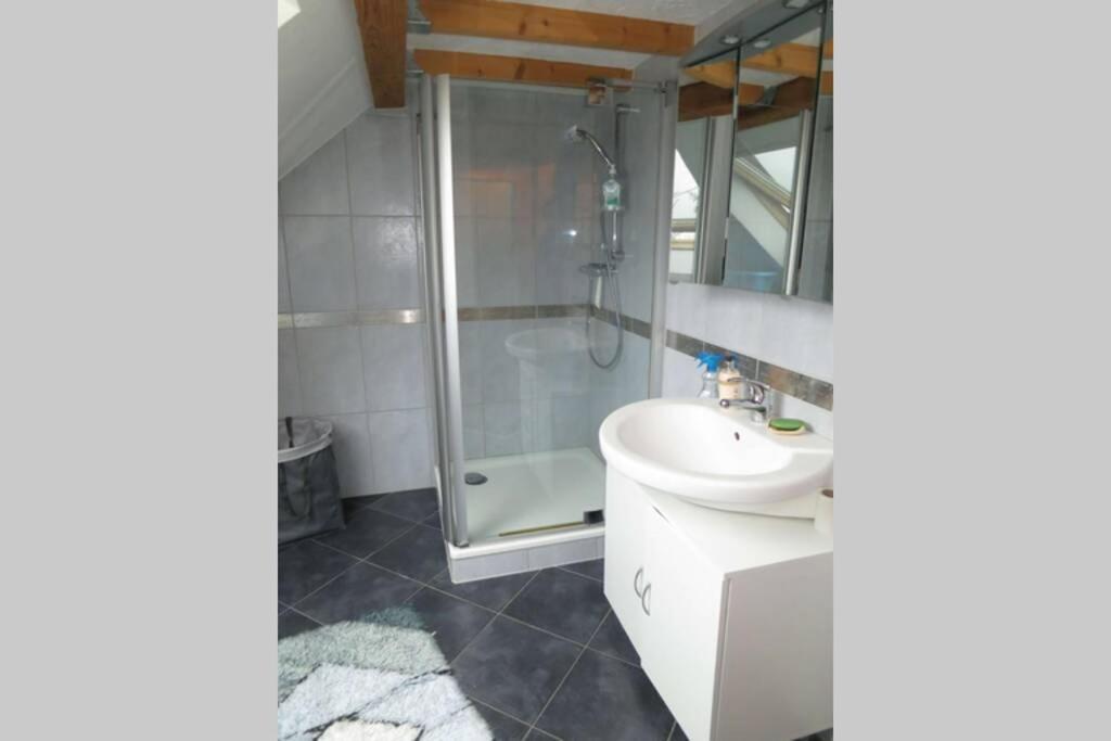 Ferienwohnung Roswitha In Blieskastel Biesingen ภายนอก รูปภาพ